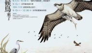 獨研指導-公共藝術-「候鳥來了• 2012關渡國際自然裝置藝術季」